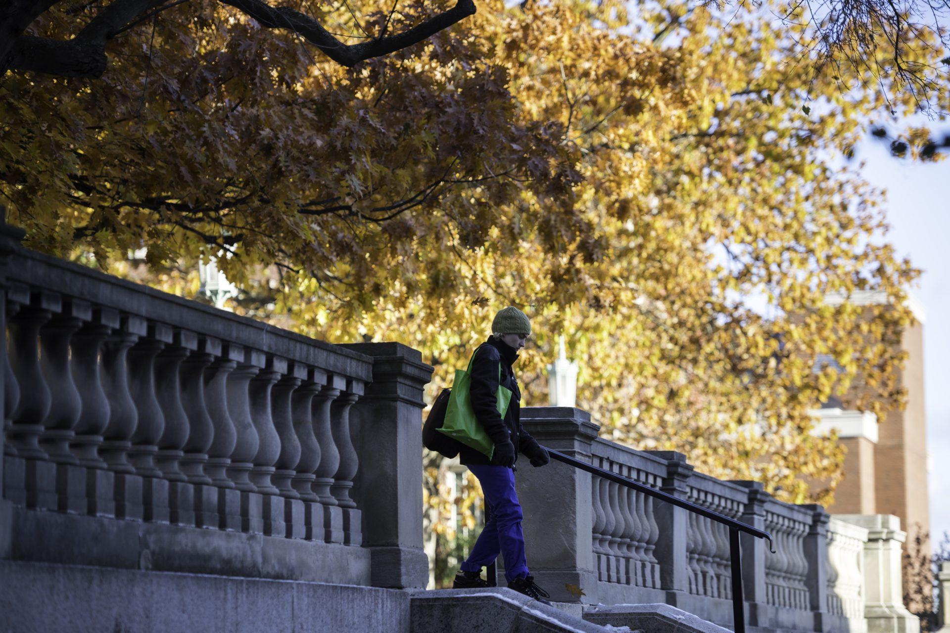 People walk past colorful oak tree leaves on University of Rochester's Eastman Quad